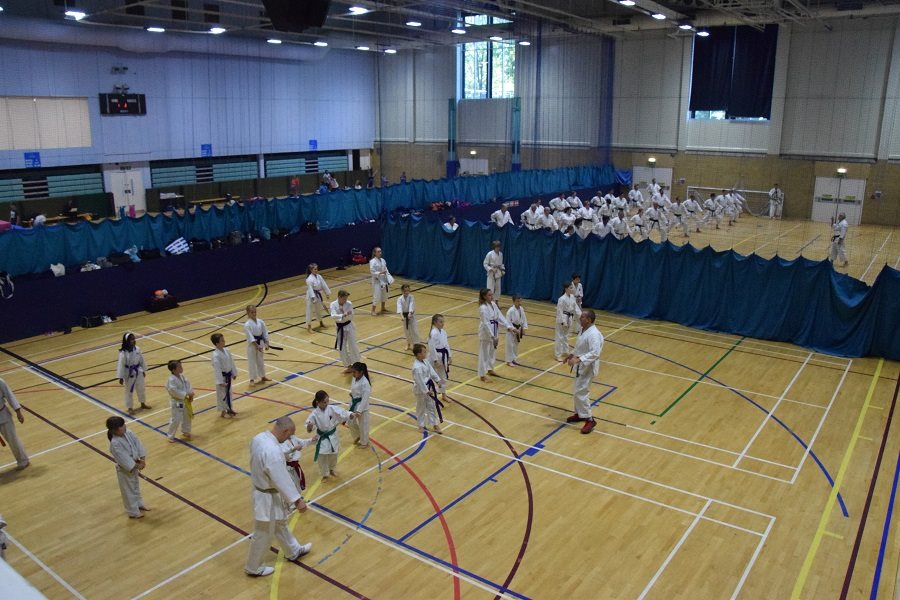 42852862_236760663684545_3692482117079400448_n[1]